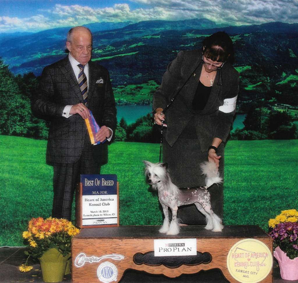 Kaylens Pammar Don t Stop The Music *