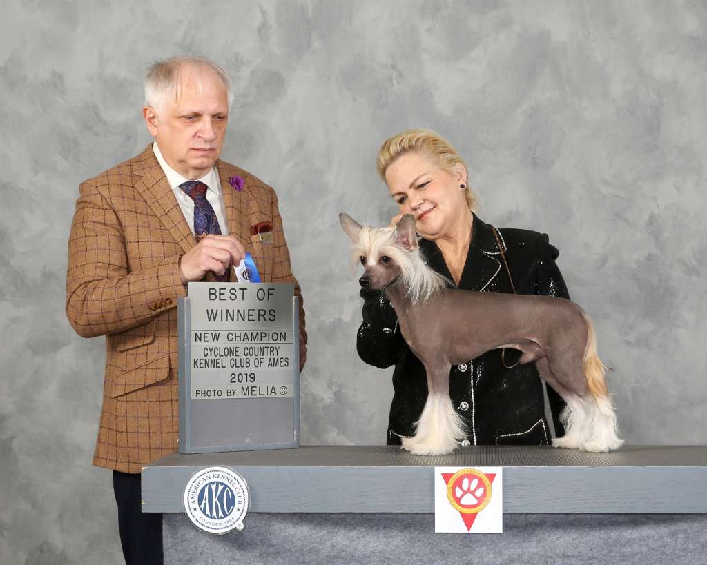 CH  Zheneva-Debjut Linkin Park