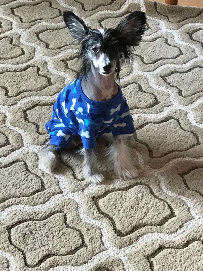 Naimuluna Line Intriga