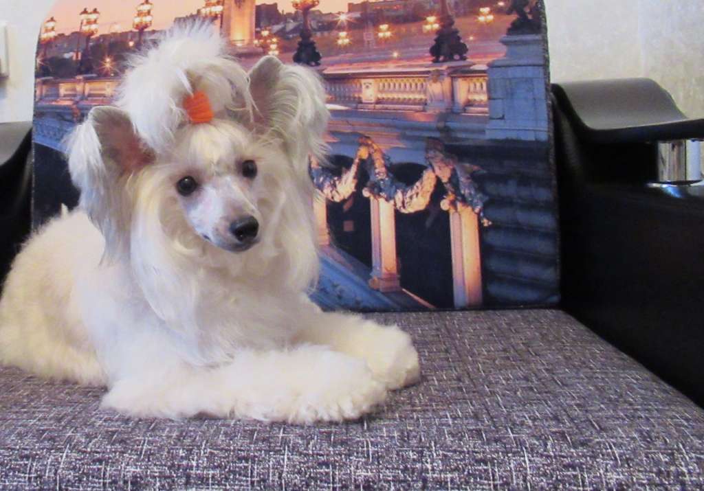 Naimuluna Line Italy