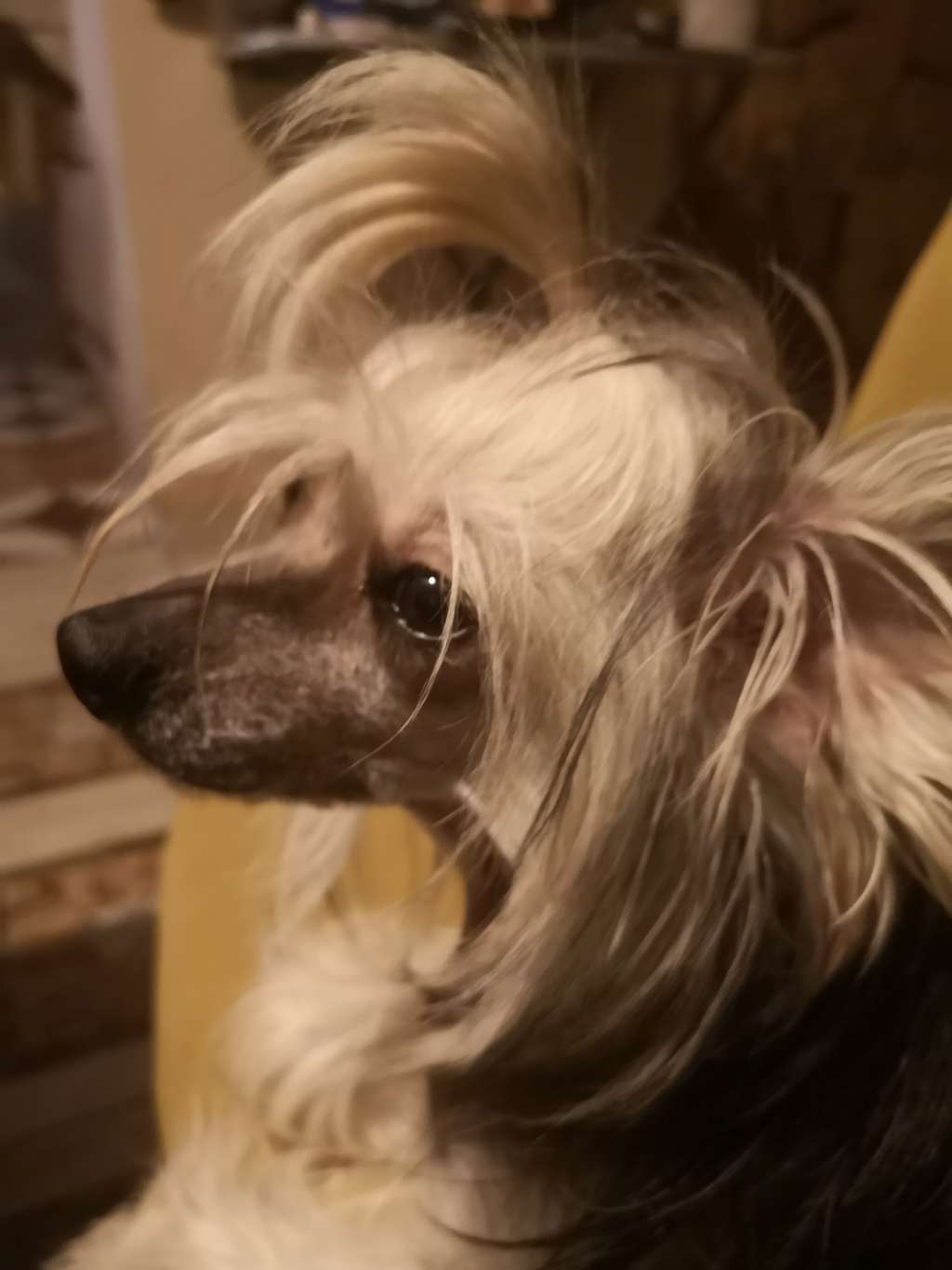 Beauty Night Iz Chudnoy Doliny