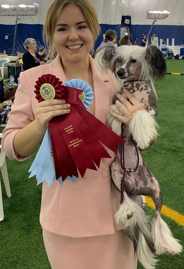 Can Ch Scherzando Quantum