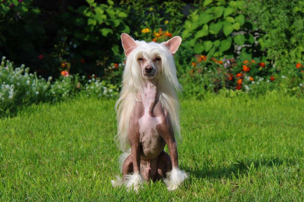 Ya , Benefis dlya Liris