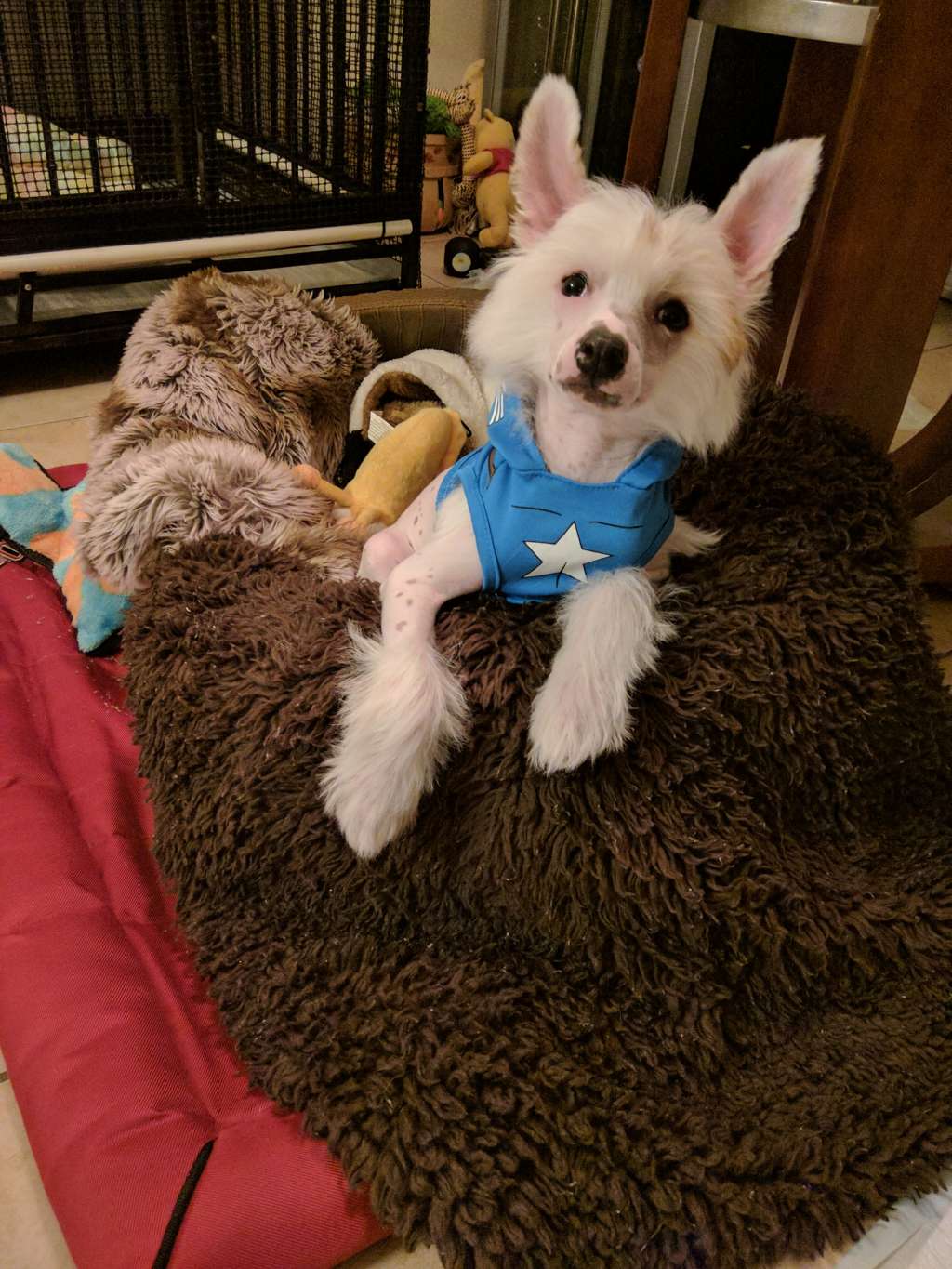 Rolling Acres who are you now Negan