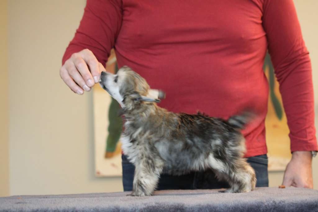 Moon Harbour One Kiss