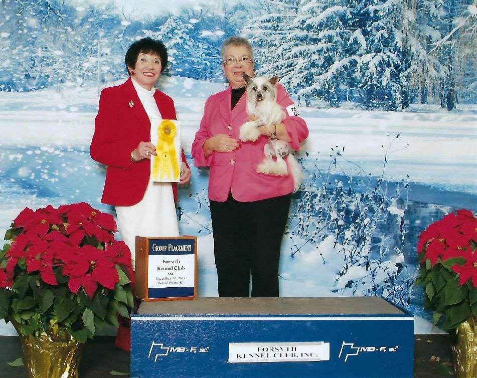 GCH Natural's No Ordinary Love DOM