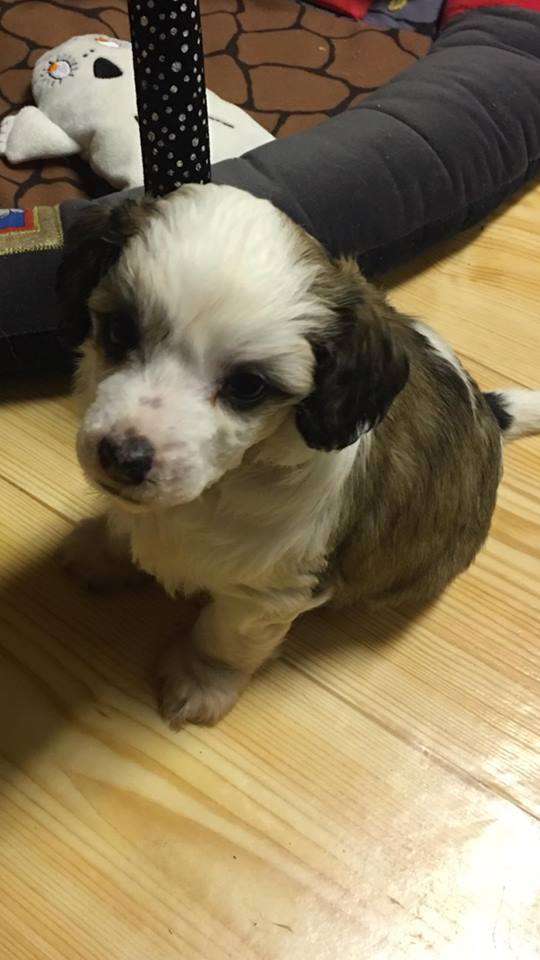 Luckytern Money for Nothing