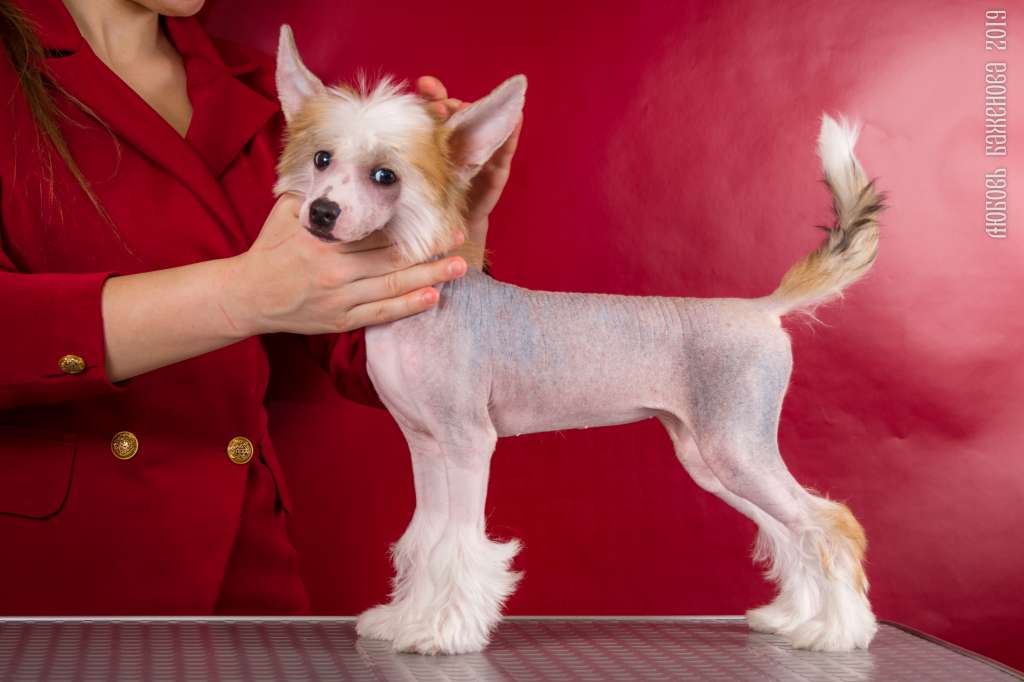 Grand Passage Bastiona