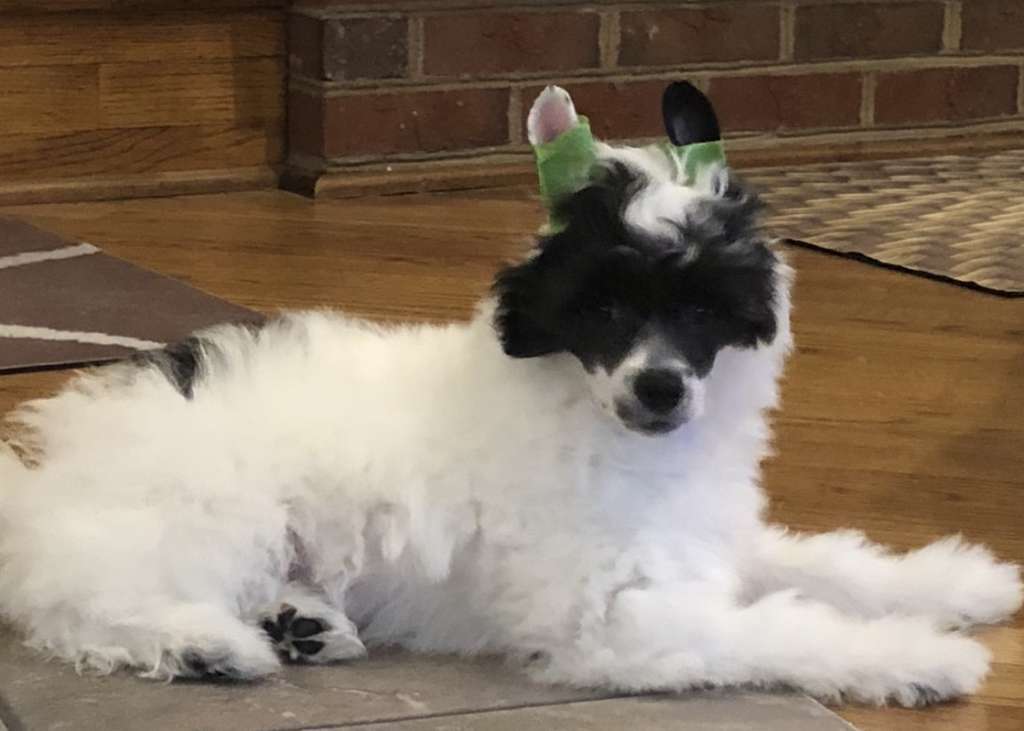 Belews Cutest Avenger