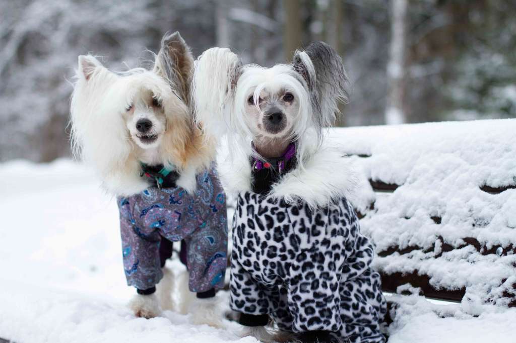 Sofiris  Show Love At First Sight