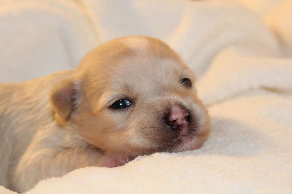 Daenerys iL Senso Della Mia Vita