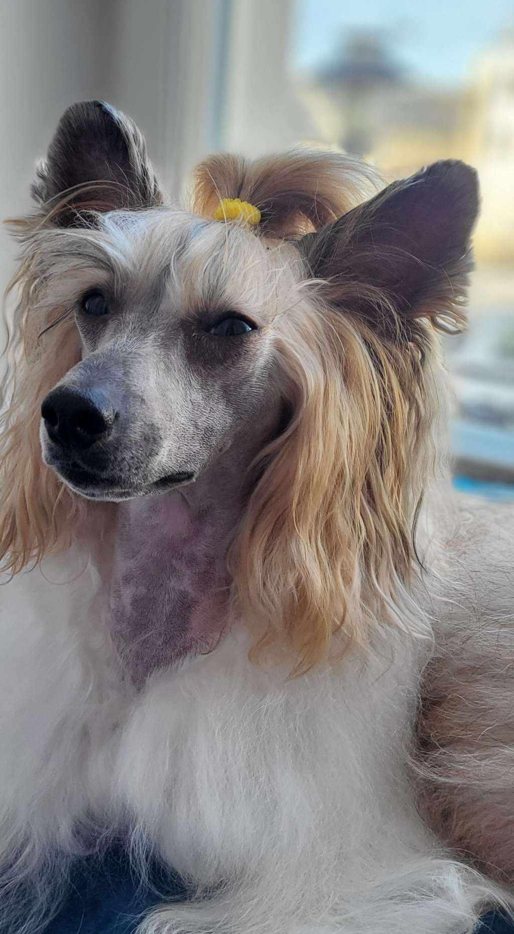 Cofee Cappuccino Velura