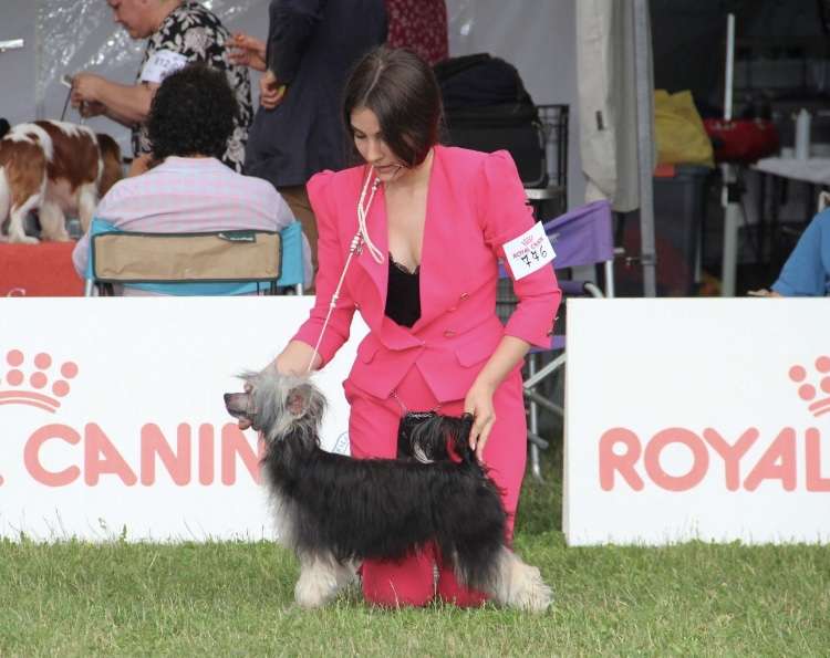 Habanero's Crest Handmade With Love