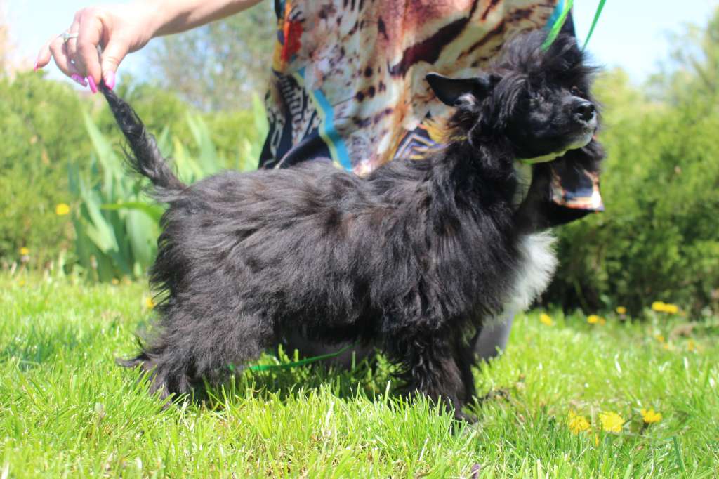 Soul Keeper de Fageiro