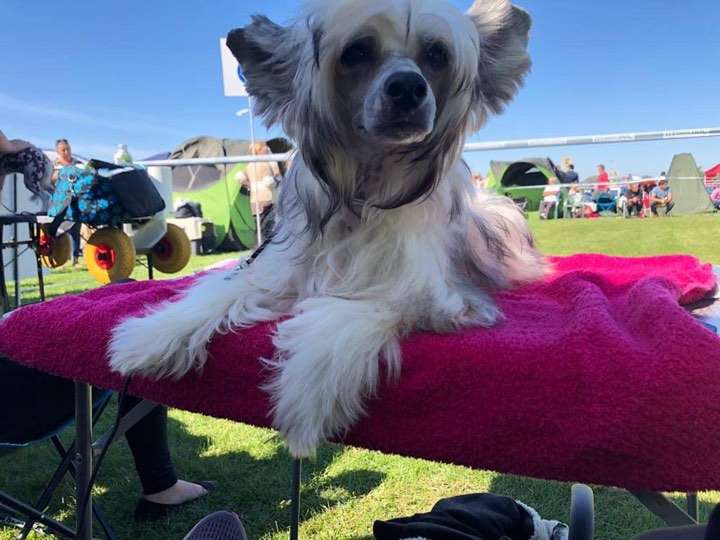 Fundoklia-völgyi Kaszanics Mina