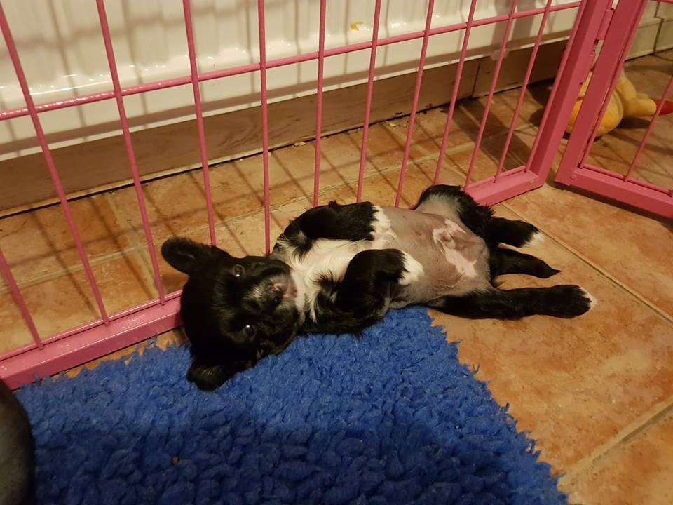 Tournais Nuffin' Stopping Me