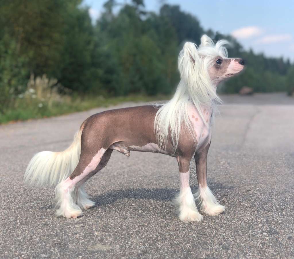 Prefix No Jacket Required