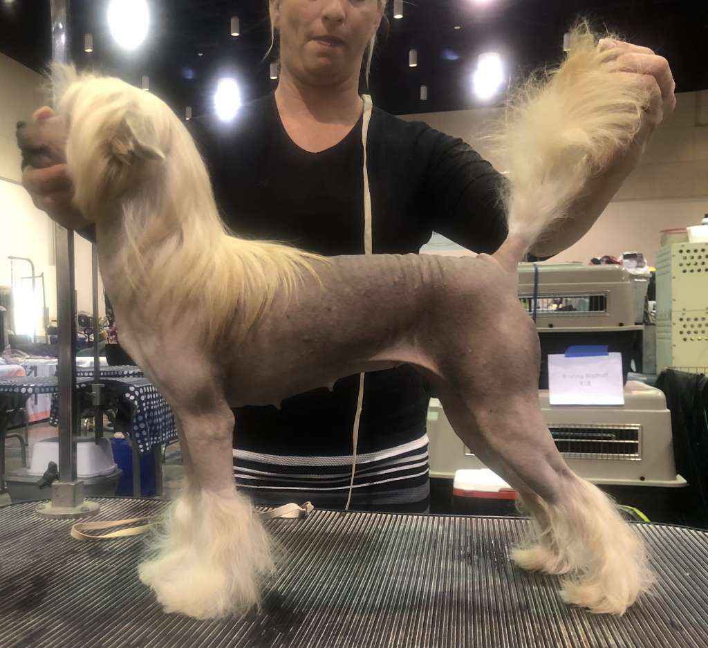 Kalan Bar-none Don't take Your Love to town