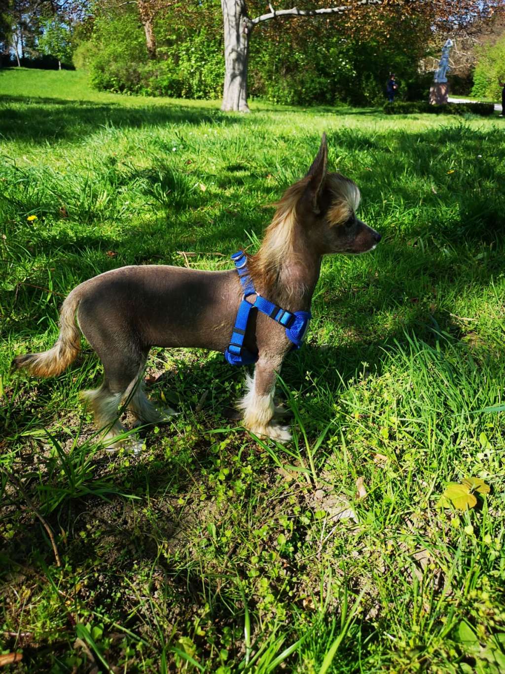 Etual Asandant Lucy liu