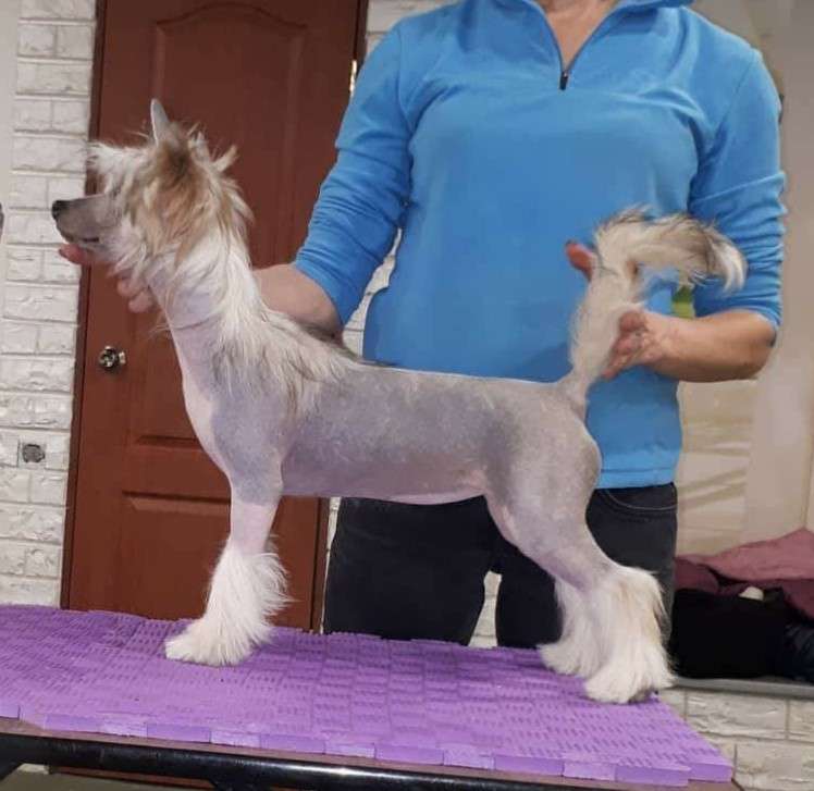 Quota Of My Soul Planet Of Dream