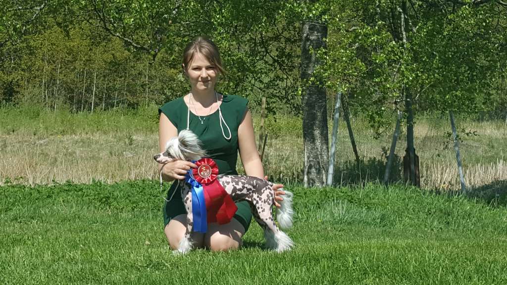 Kungsängsliljans Chosen To Be Wild