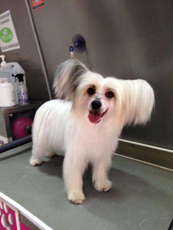 Hampton Court's Bubbles at Legend