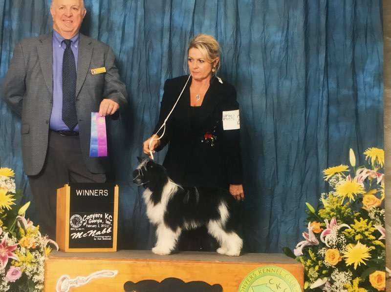 Rosebriar's Color Me Famous