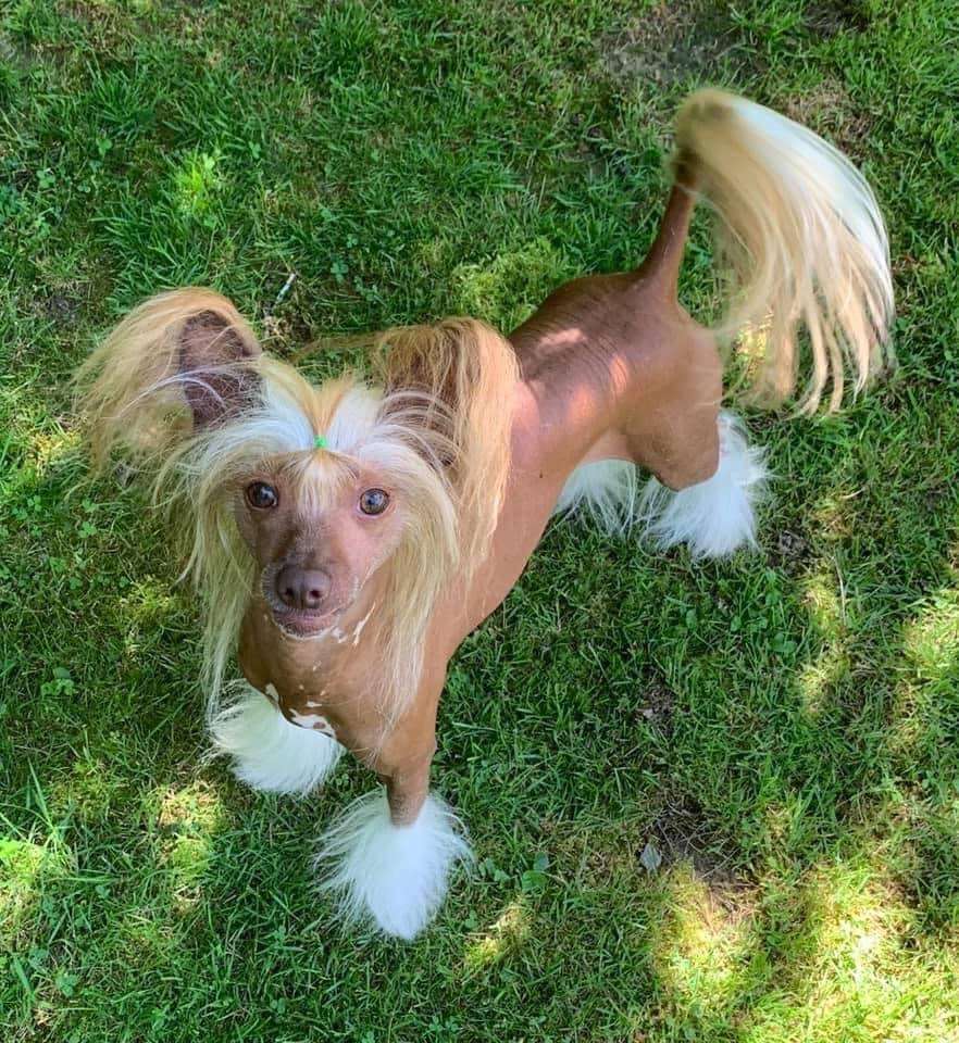 Jewels Don't Tread On Me