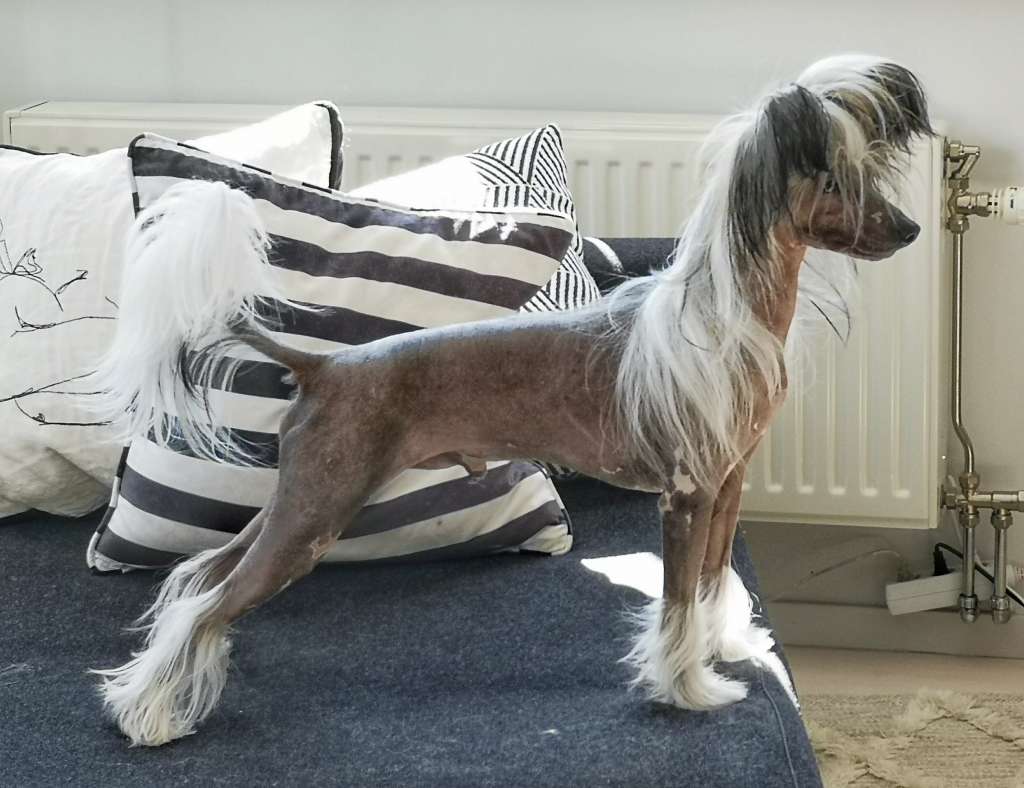 Oblivion Escape The Fate