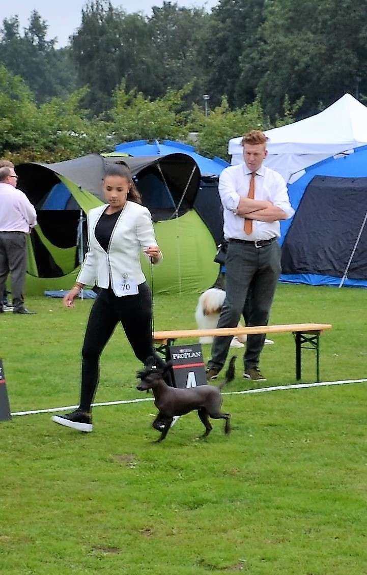 Dream Till You Make It of Ria's Pride