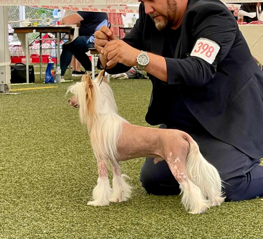 Yentel Hurricane Diamond Place