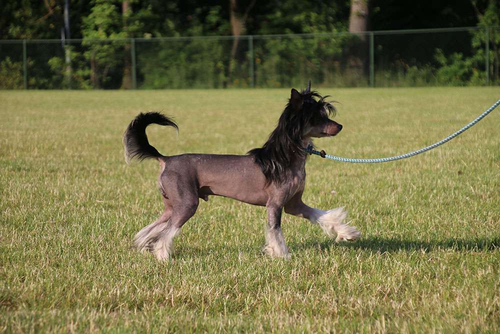 Yason of souls Diamond Place