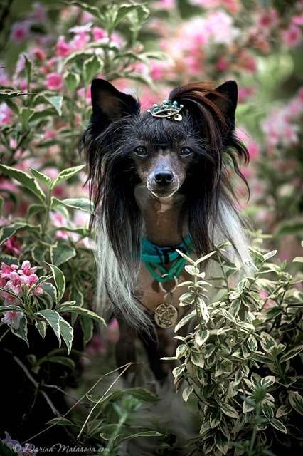 AkDeniz Make You Happy