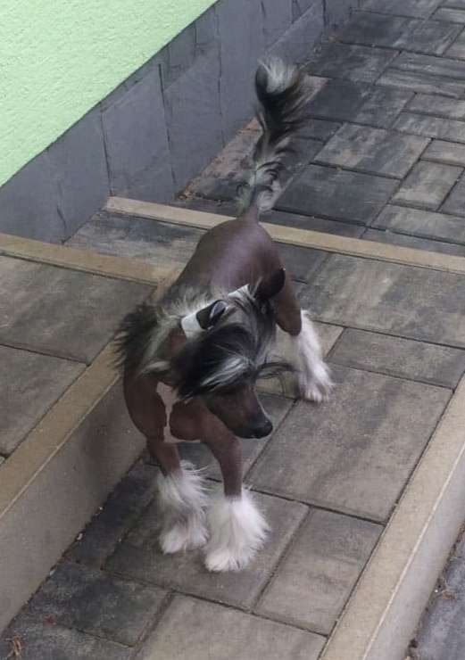 Forseti's Prince Charming