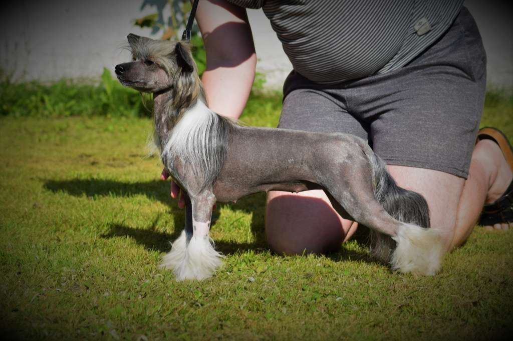 Kalimera's Cinndoughrella