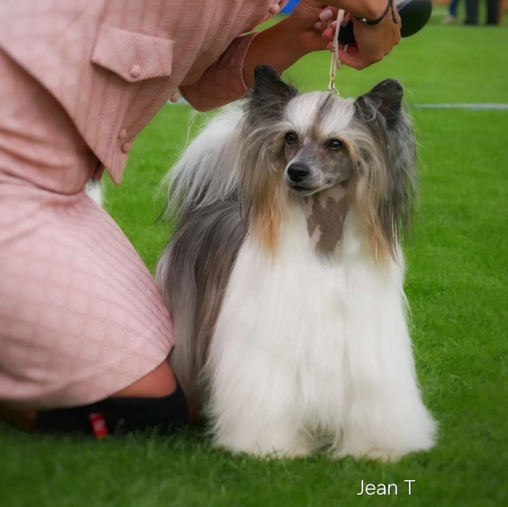 Kalimera's One Sweet World