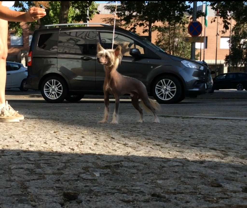 Red Velvet Cupcake Of CayoCarpo