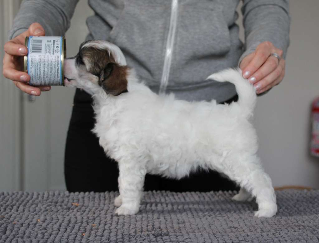 Maybell's Vanilla Delight