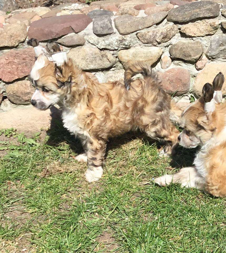 Kalista Take Me Away