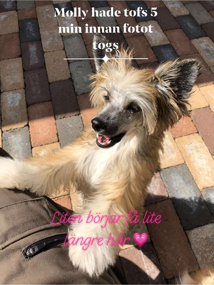 Kalimera's Peanut Butter Cup