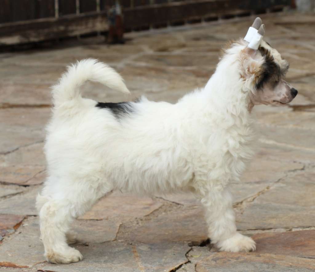 Storm boy  de Almamasan