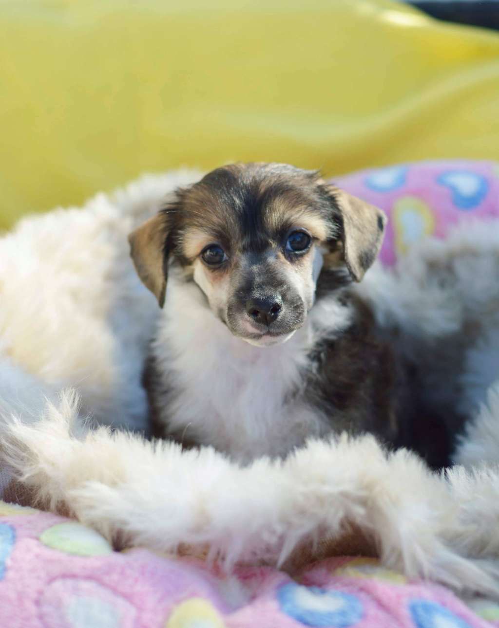 Moelmo's Zooming In On You