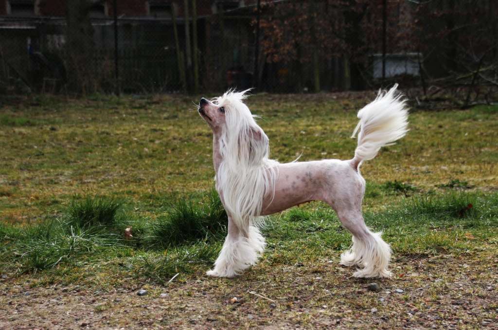 Blushing Flower Diamond Place