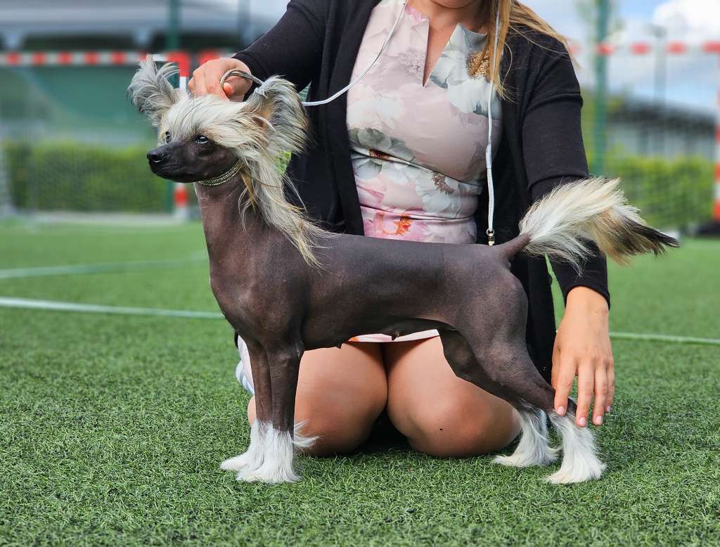 Jean Dark I Feel Pretty