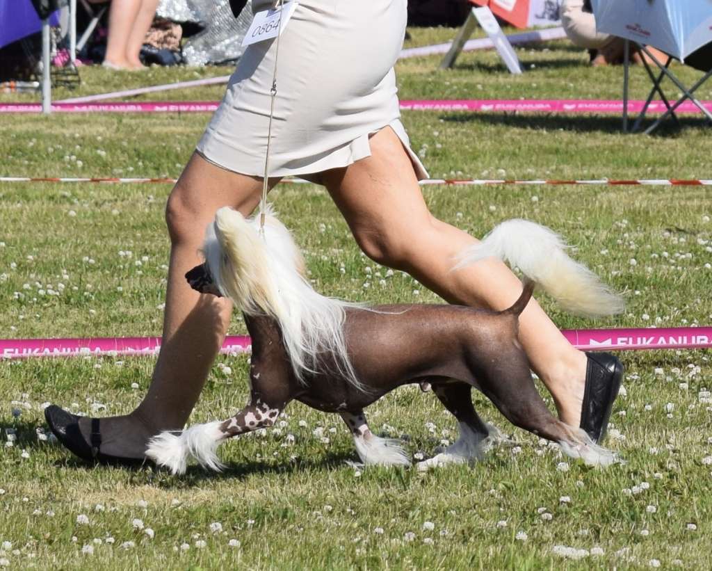 Funky Jazz by Little Jade