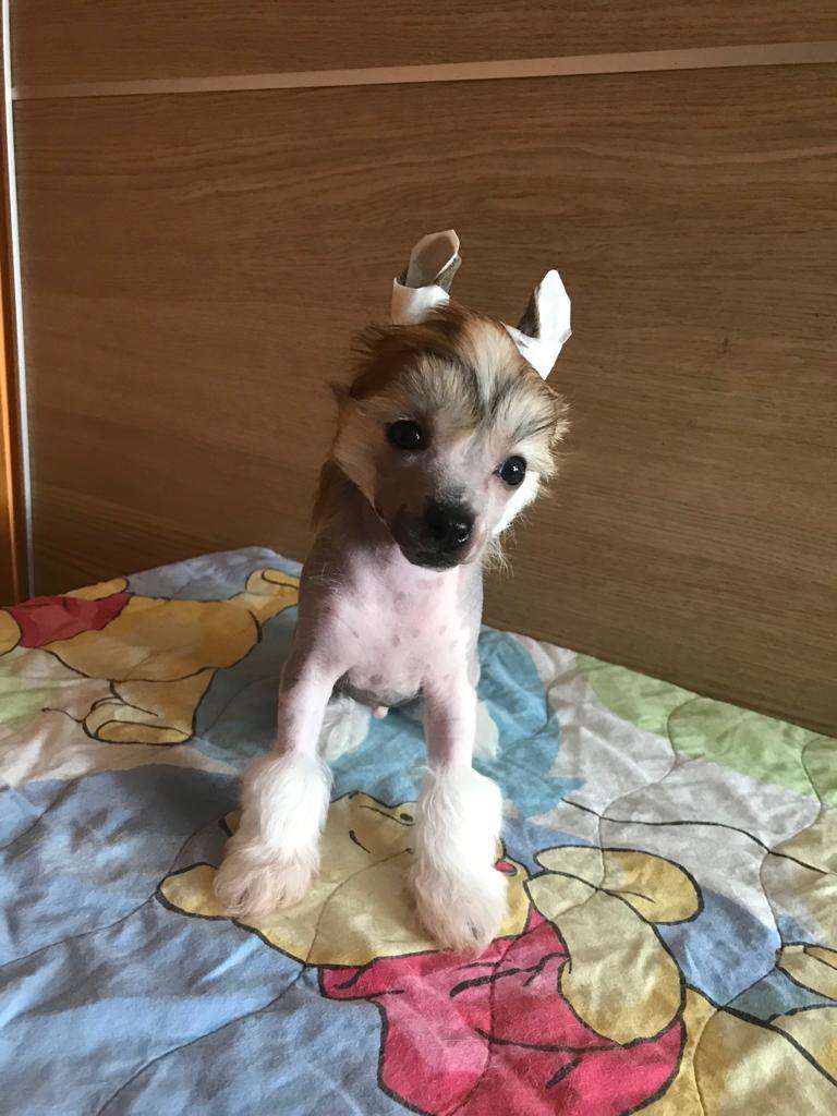 Dakota Rose Love Of My Life