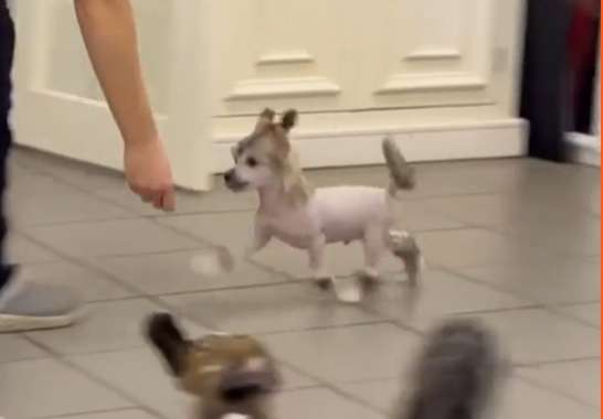 Jean Dark Come Fly With Me