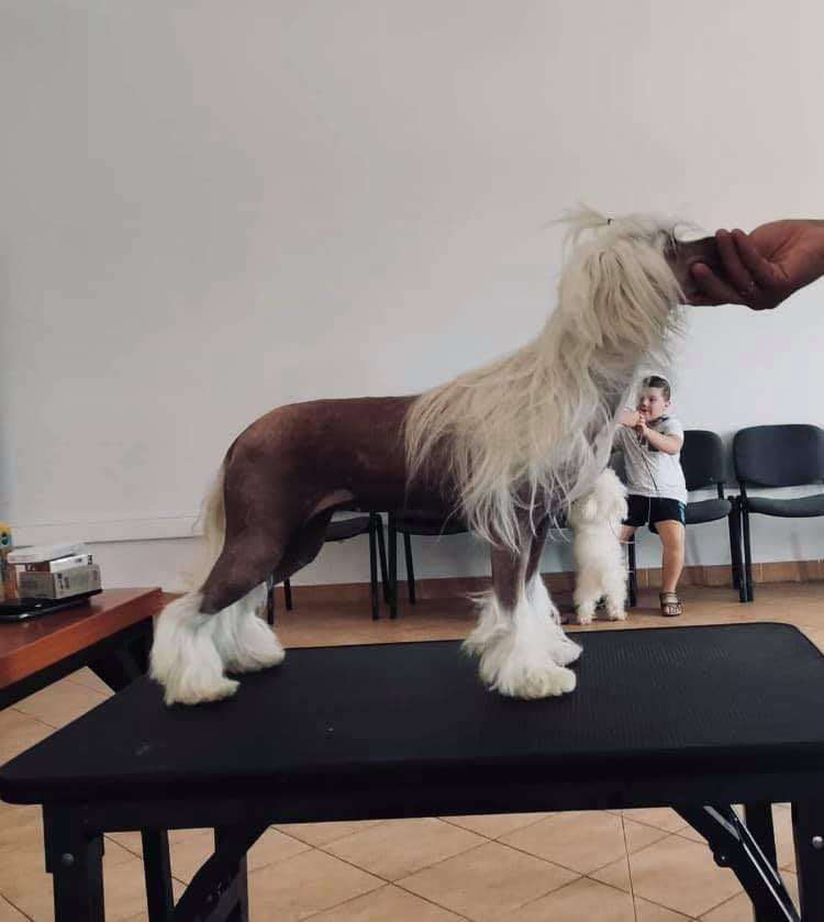 So-soft Princess Jungle Jane