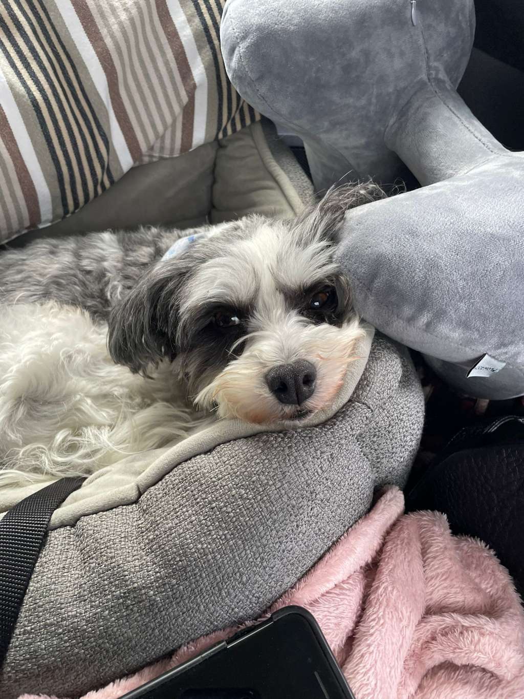 Solino's Tell Me More