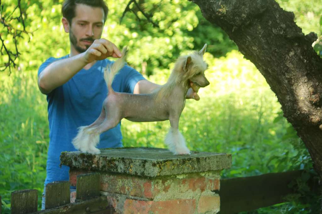 Poswiata Next Germanika